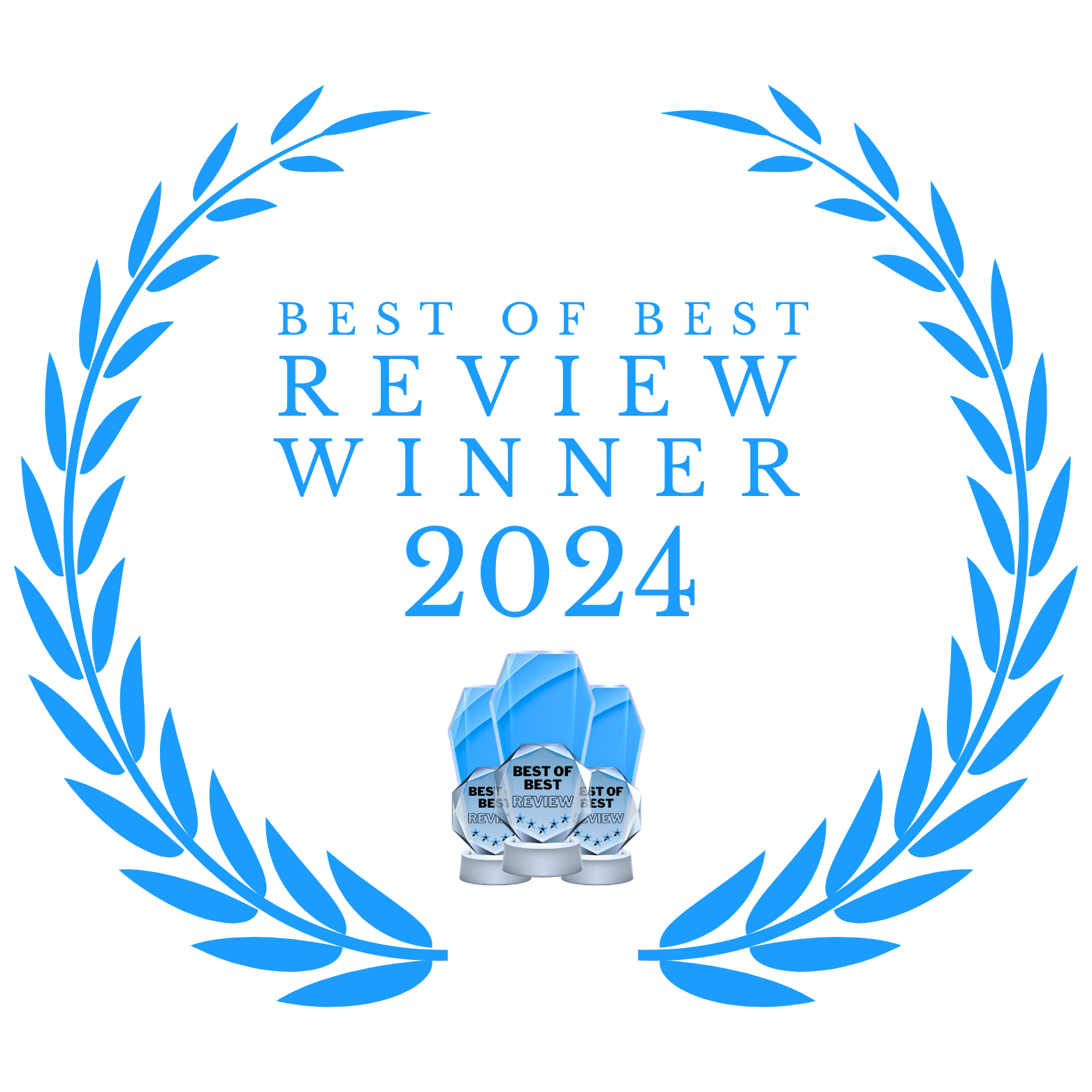 Skitopel receives best of best review award