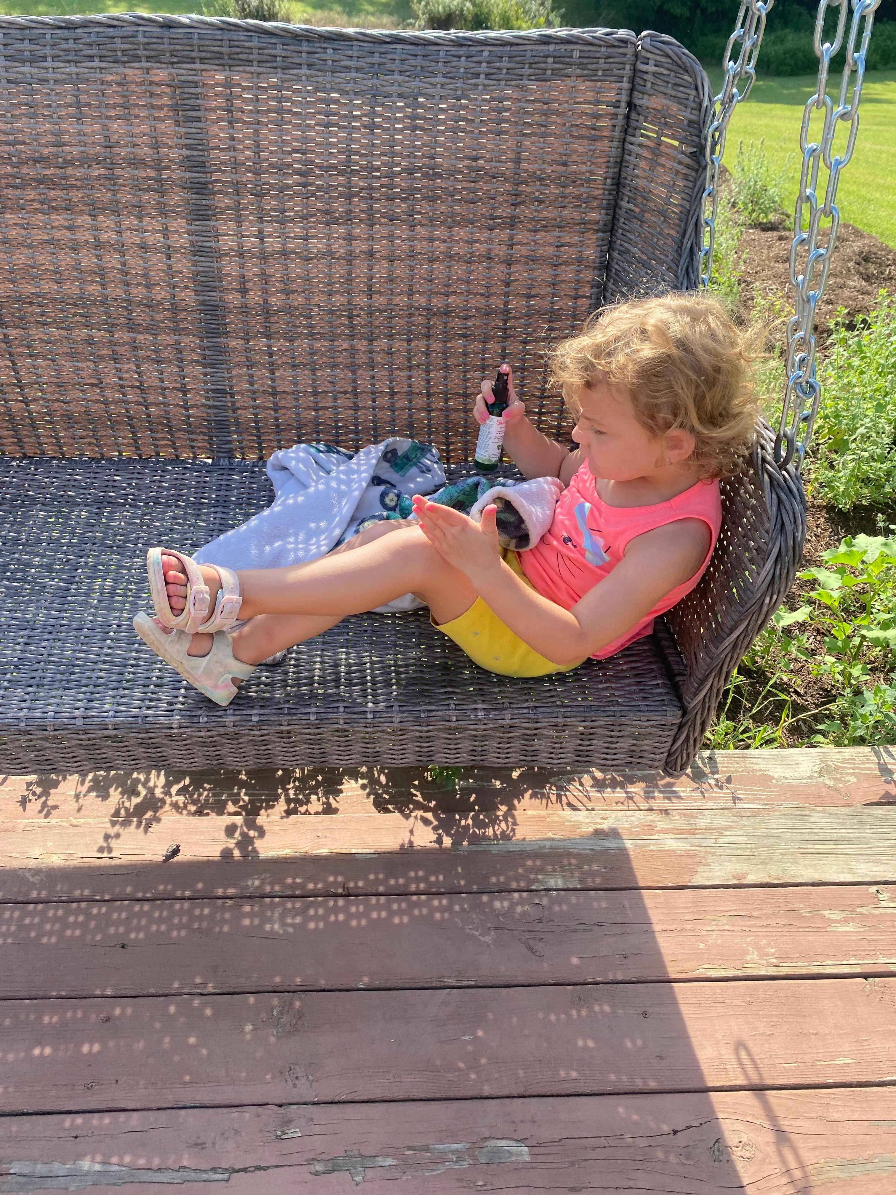 Gnats: The Tiny Pests with Many Names & How to Keep Them Away with Skitopel