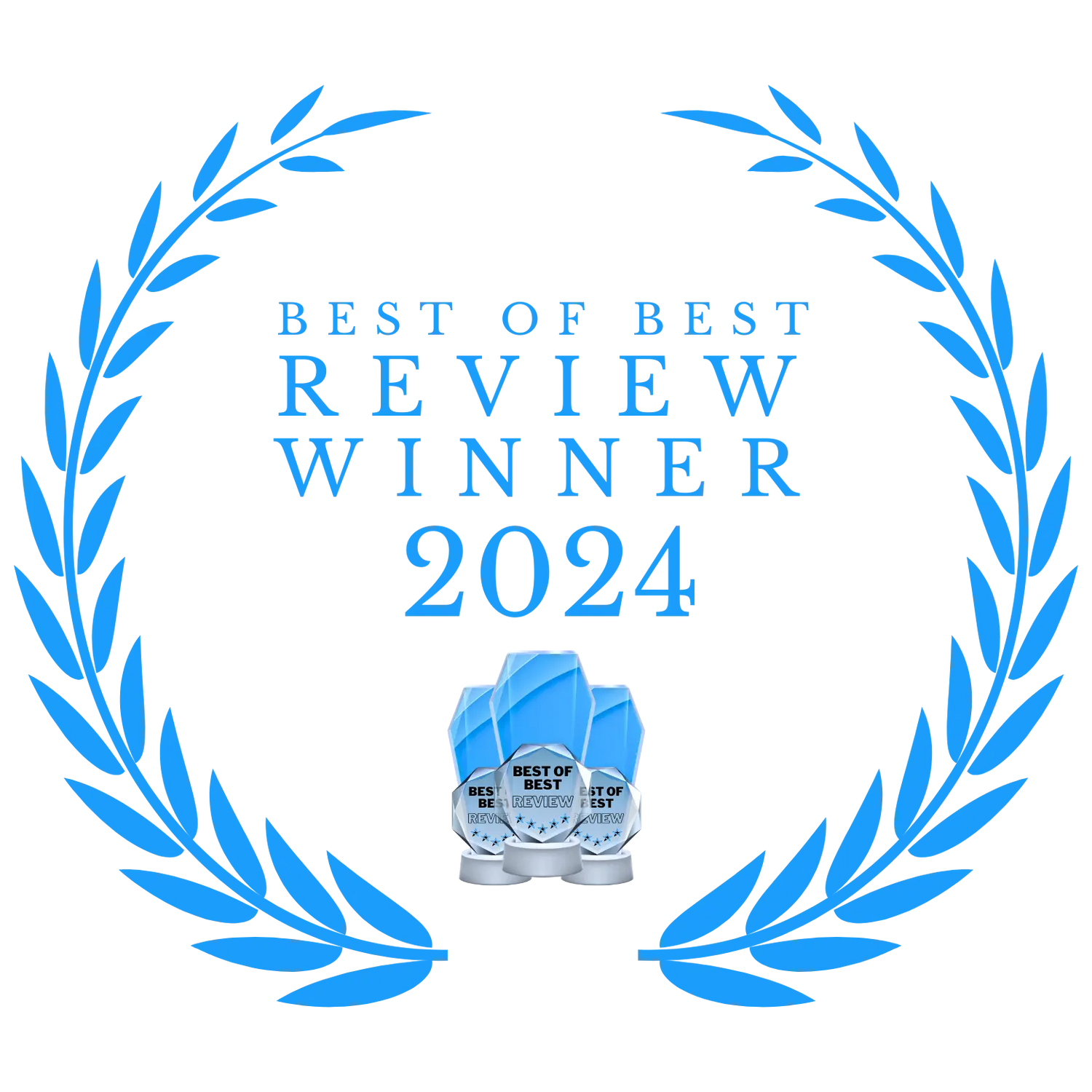 Best-of-Best-Review-Winner-2024 Skitopel