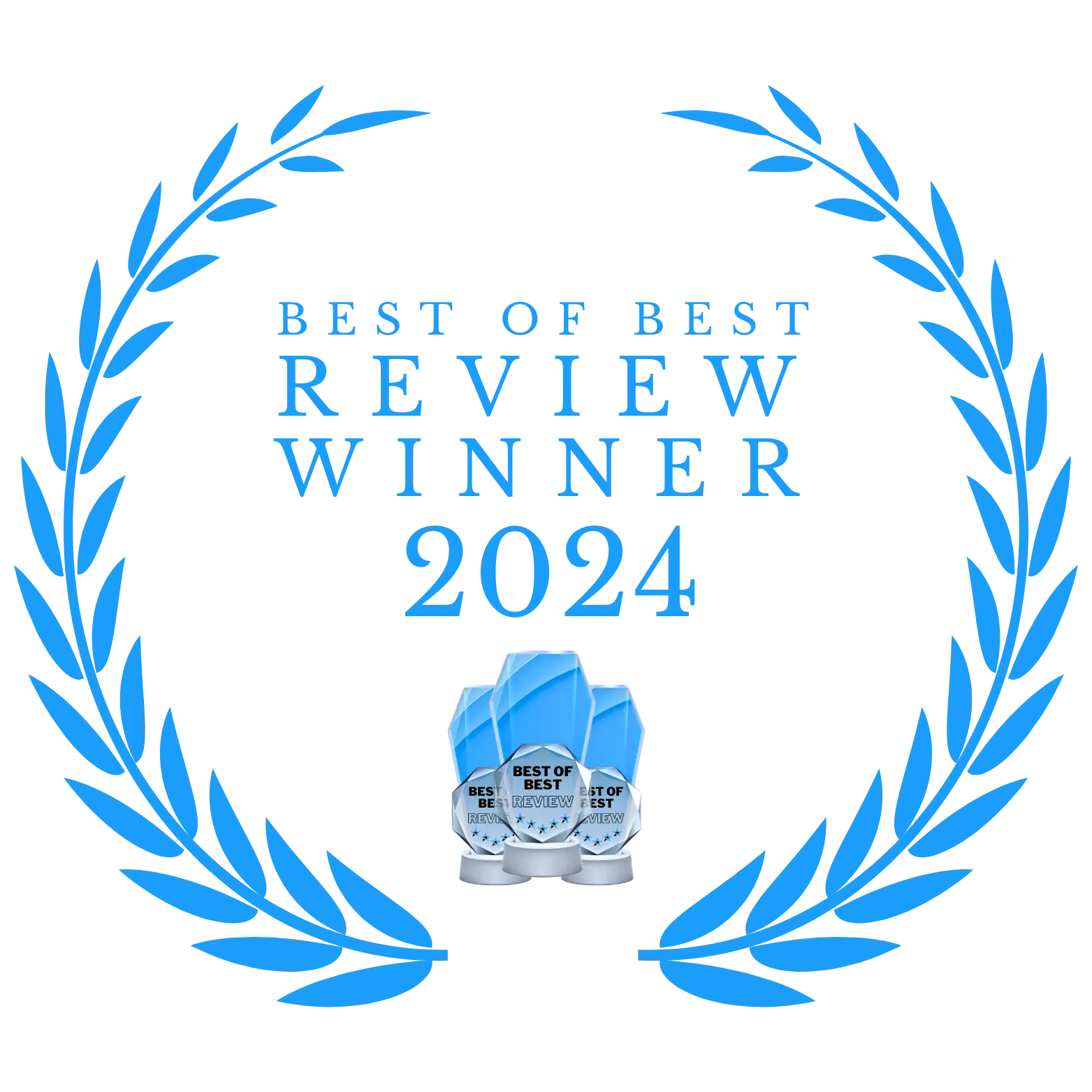 Best-of-Best-Review-Winner-2024 Skitopel