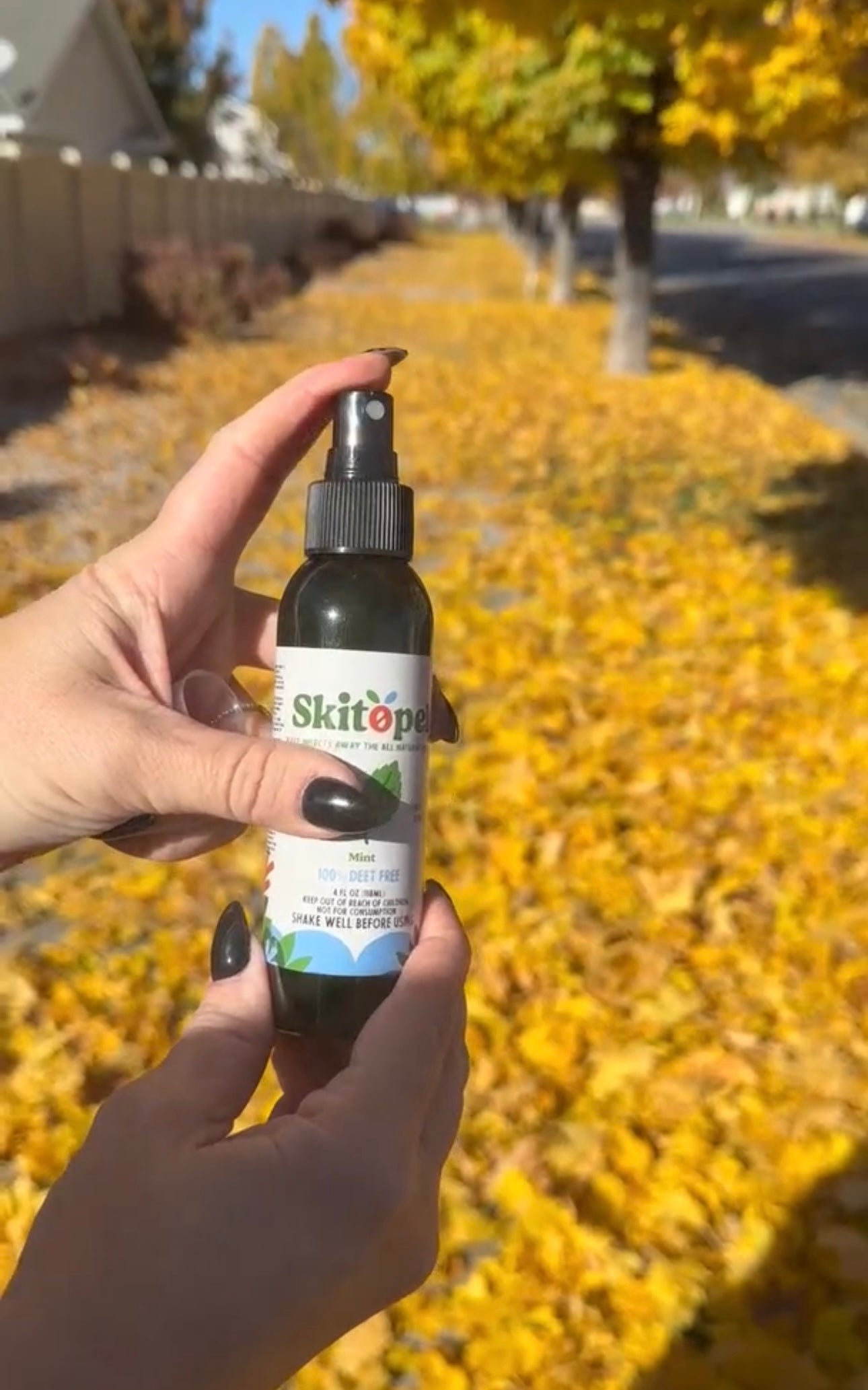 When Do Mosquitoes, Gnats, Chiggers, and Ticks Come Out?